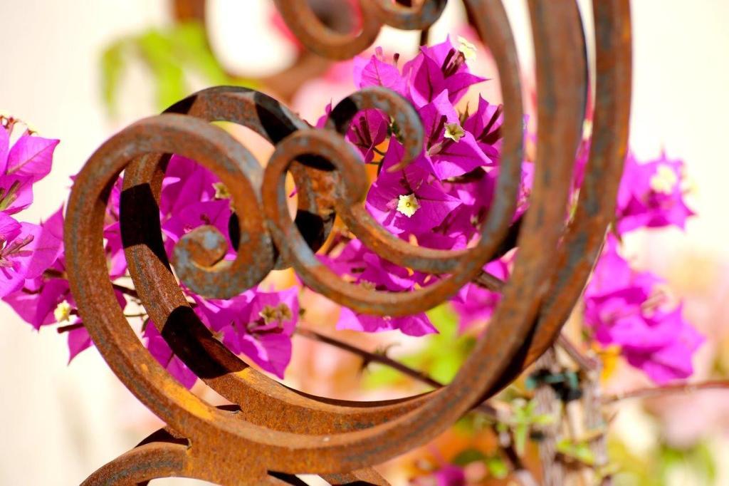 Bed and Breakfast Mas De Mariette Noves Exterior foto